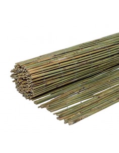 ΚΑΛΑΜΩΤΗ BAMBOO ΜΑΣΙΦ Ø7-12MM 100(Υ)x300εκ.