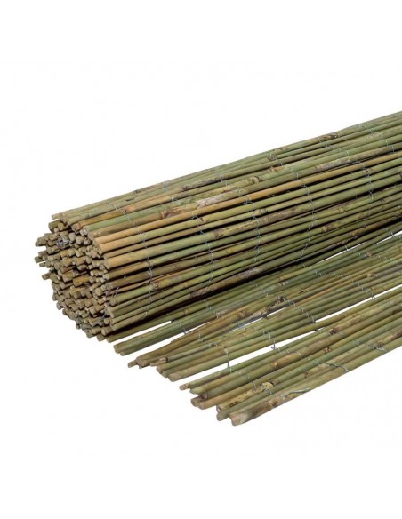 ΚΑΛΑΜΩΤΗ BAMBOO ΜΑΣΙΦ Ø7-12MM 100(Υ)x300εκ.