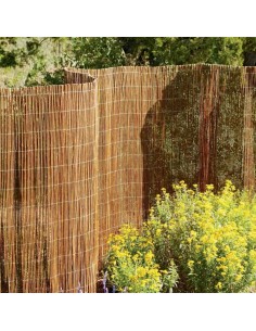 ΛΥΓΑΡΙΑ-ΒΕΡΓΑ  ΛΕΠΤΟΚΑΡΥΑΣ ΜΑΣΙΦ 100Χ500 εκ 2