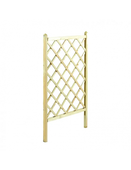 ΚΑΦΑΣΩΤΟ ΓΛΑΣΤΡΑΣ SHOWOOD 120(Υ) X 110CM