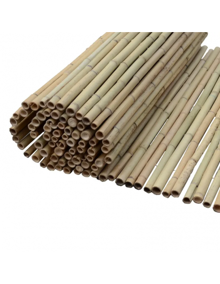 BAMBOO Ø20-25MM 150(Y) x 250εκ.