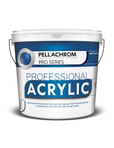 ACRYLIC PROFESSIONAL BLACK 9LT
