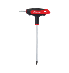 TORX ΜΕ ΤΡΥΠΑ BENMAN T.25